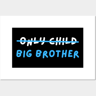 Big brother Posters and Art